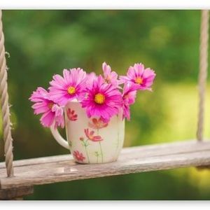 Meet your Posher, Bridget